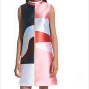 NWT Ted Baker Dress